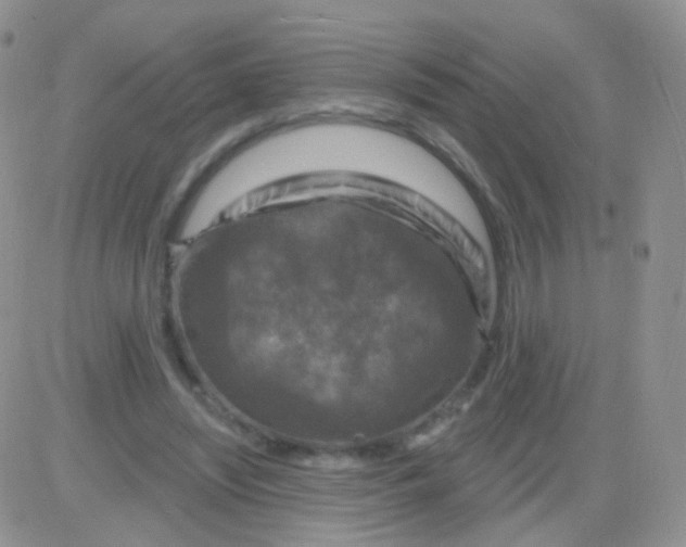 X0000083050444200702231959