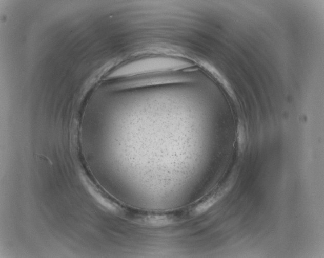 X0000083050445200702231959