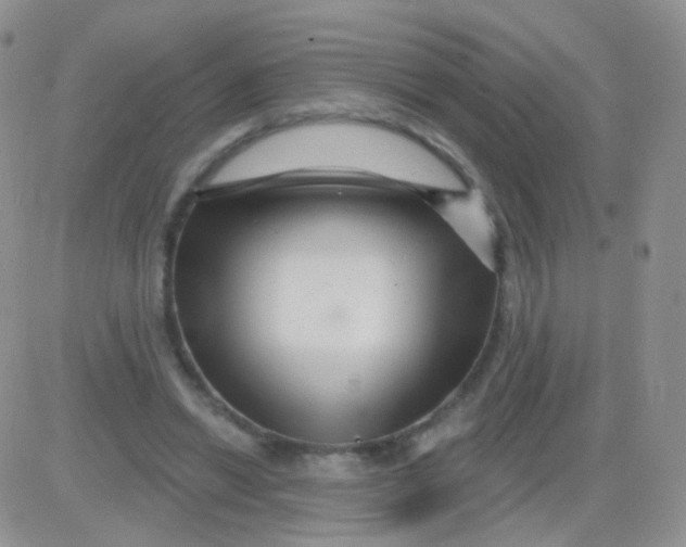 X0000083050446200702231959