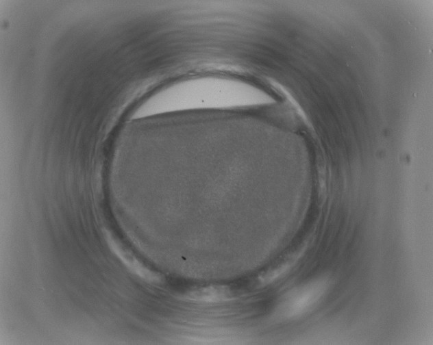 X0000083050447200702231959