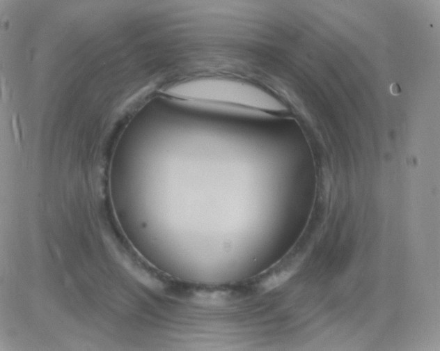 X0000083050450200702231959