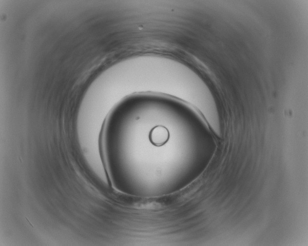 X0000083050452200702231959