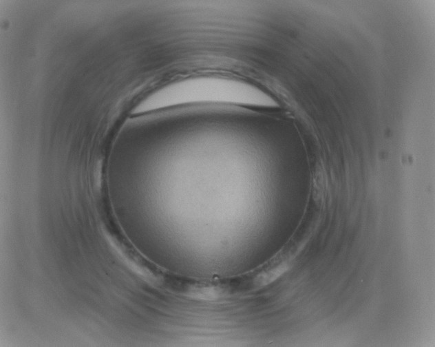 X0000083050454200702231959