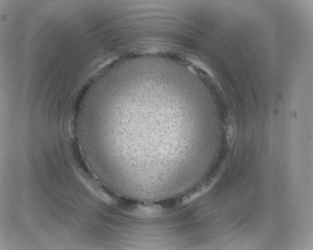 X0000083050455200702231959