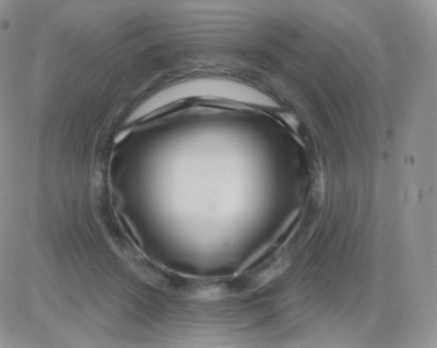 X0000083050456200702231959