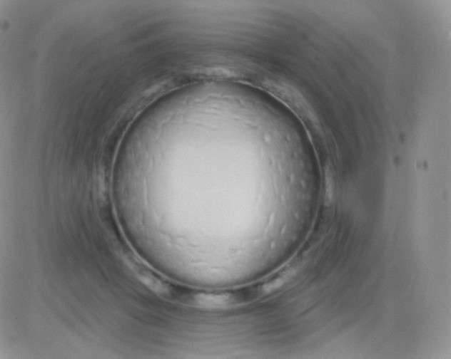 X0000083050457200702231959