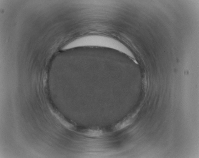 X0000083050458200702231959