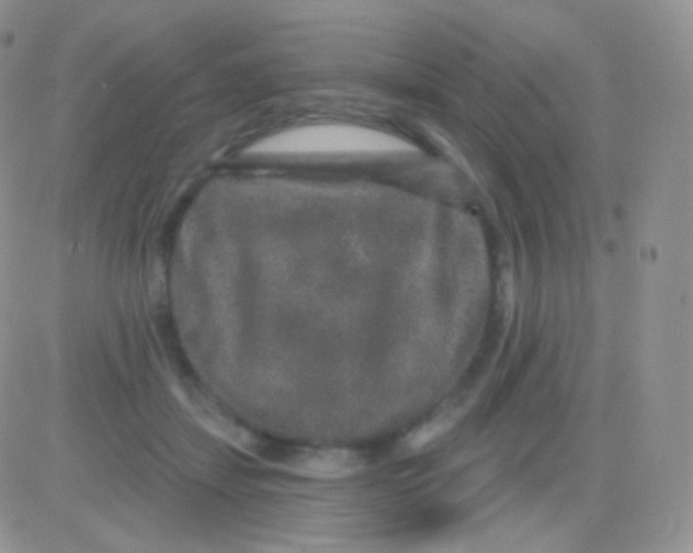 X0000083050459200702231959