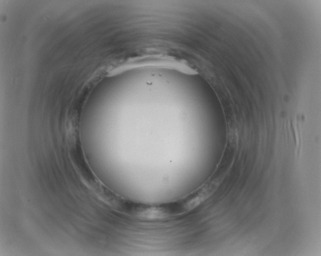 X0000083050460200702231959