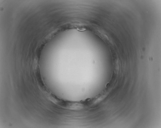 X0000083050463200702232000