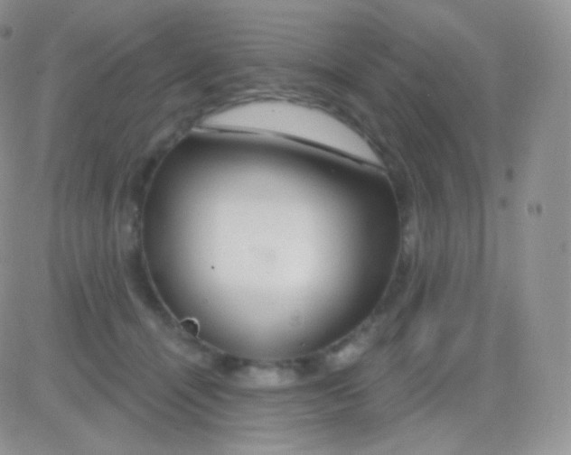 X0000083050464200702232000