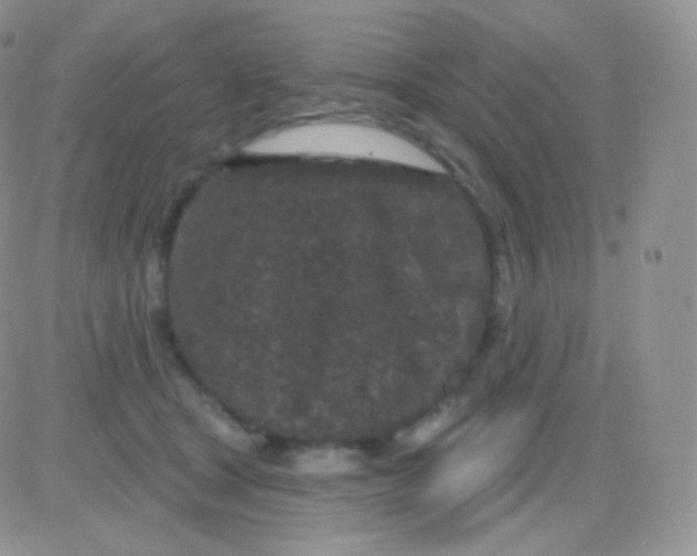 X0000083050465200702232000