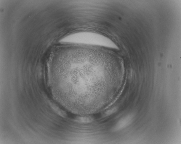 X0000083050466200702232000