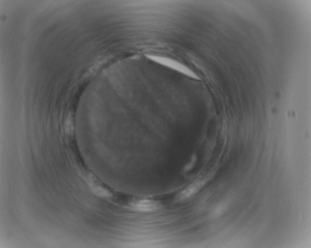 X0000083050467200702232000