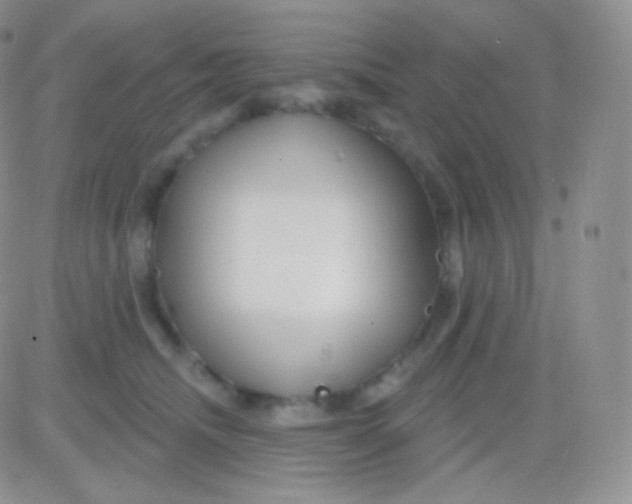 X0000083050468200702232000