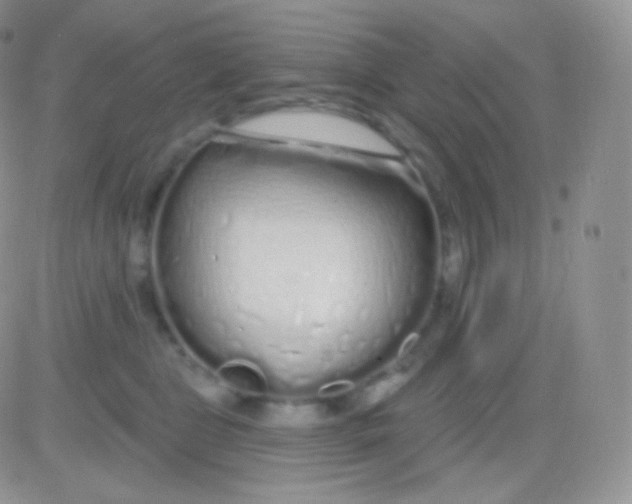 X0000083050469200702232000