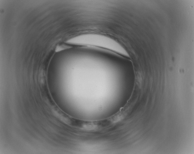 X0000083050470200702232000