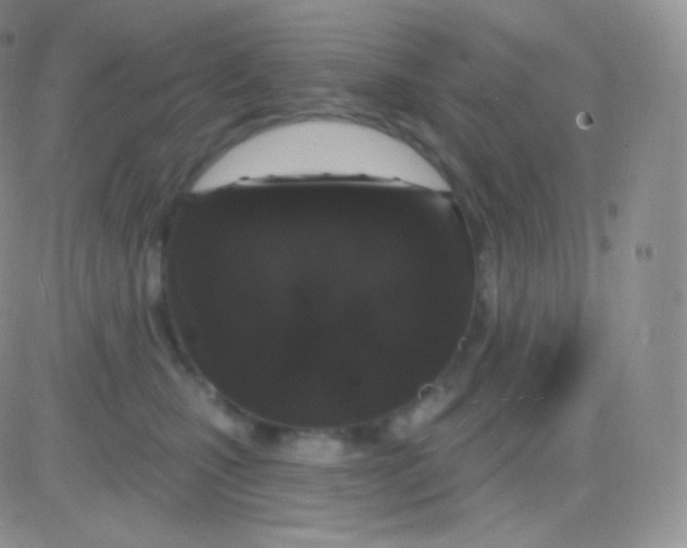 X0000083050471200702232000