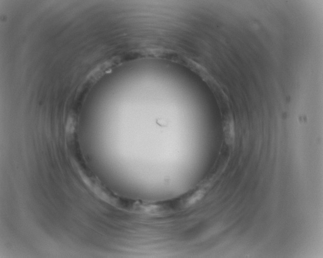 X0000083050472200702232000