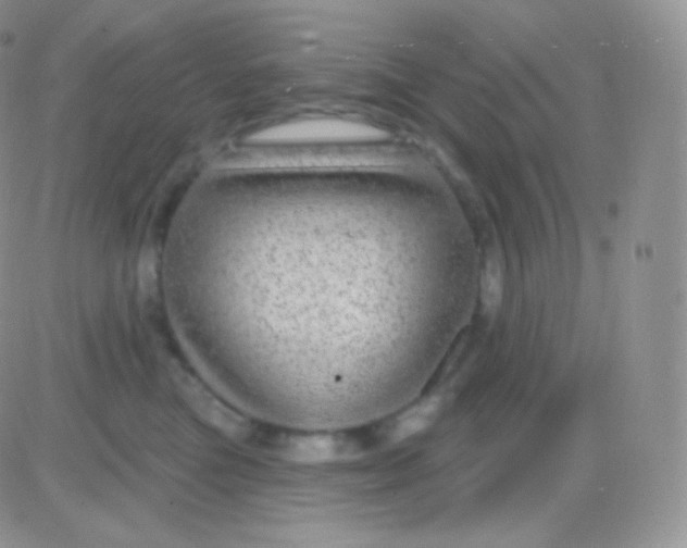 X0000083050473200702232000