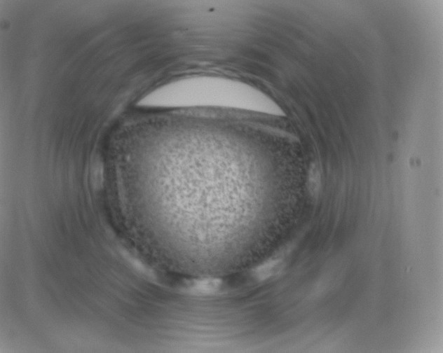 X0000083050474200702232000