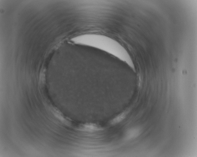 X0000083050475200702232000