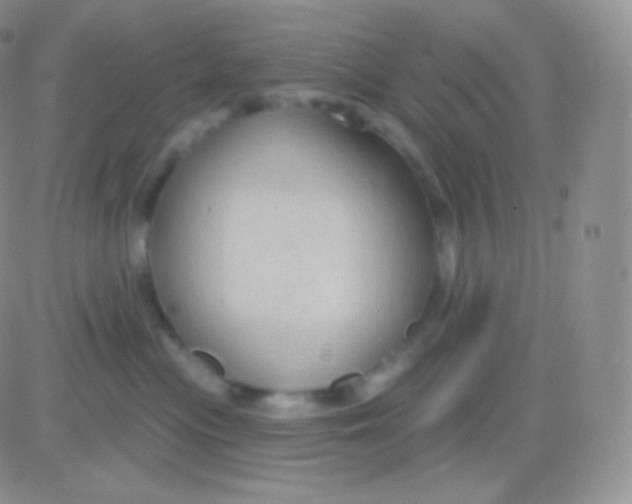 X0000083050477200702232000