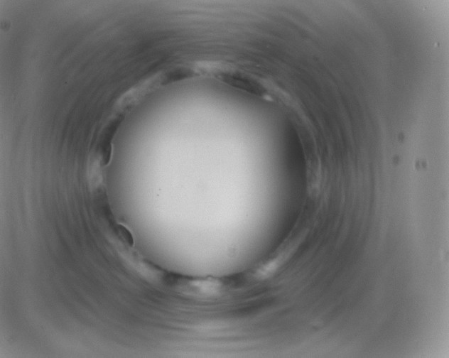 X0000083050478200702232000