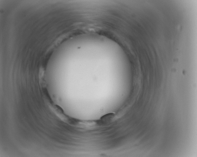 X0000083050480200702232000