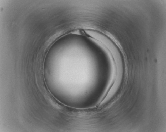 X0000083050481200702231959