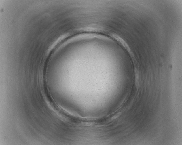 X0000083050482200702231959