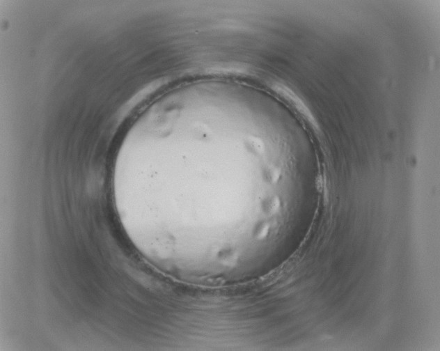 X0000083050483200702231959