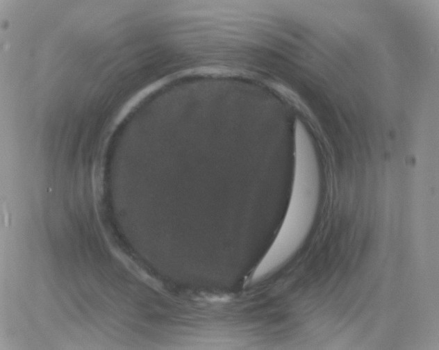 X0000083050484200702231959