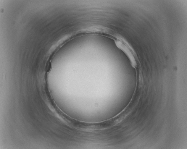 X0000083050485200702231959