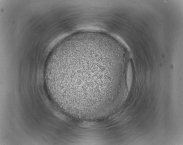 X0000083050487200702231959