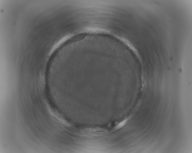 X0000083050488200702231959