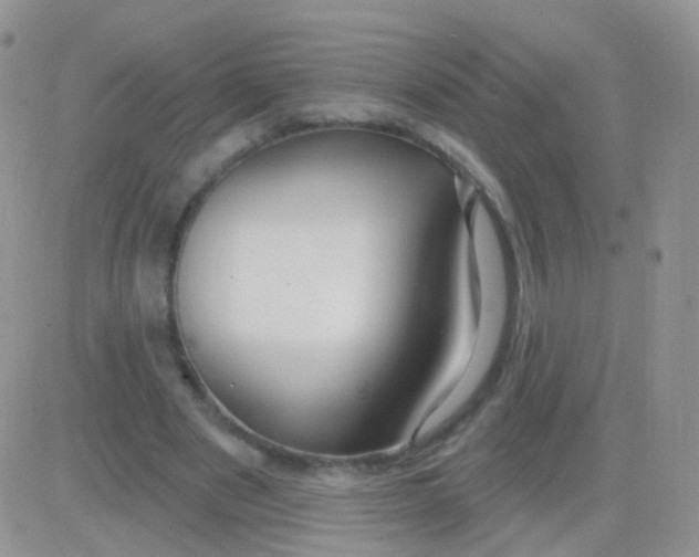 X0000083050489200702231959