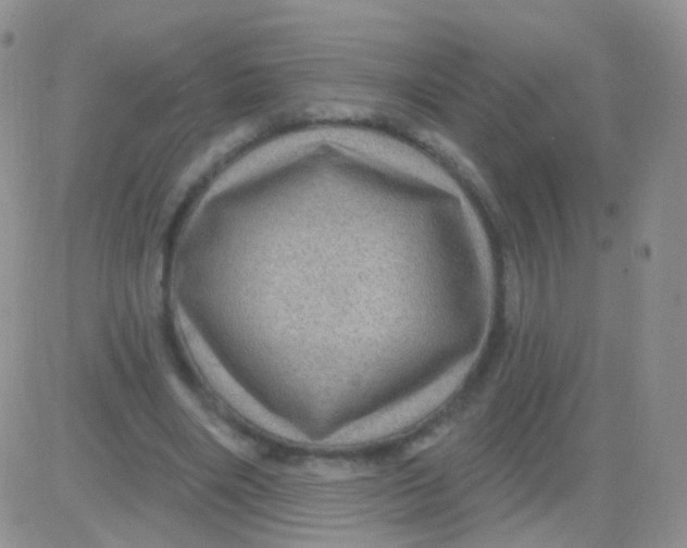 X0000083050490200702231959