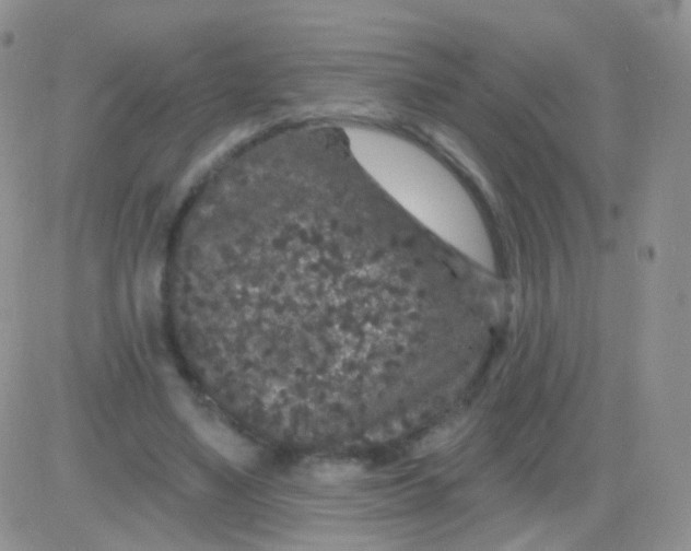 X0000083050491200702231959