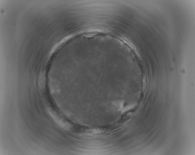 X0000083050492200702231959