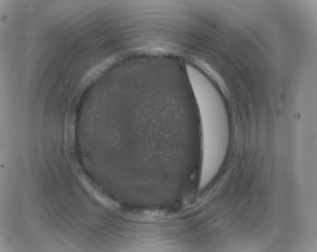 X0000083050493200702231959