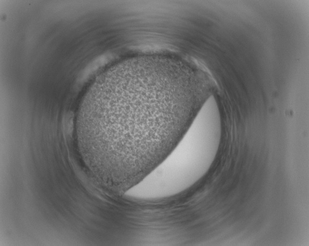 X0000083050495200702231959