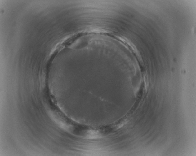 X0000083050496200702231959