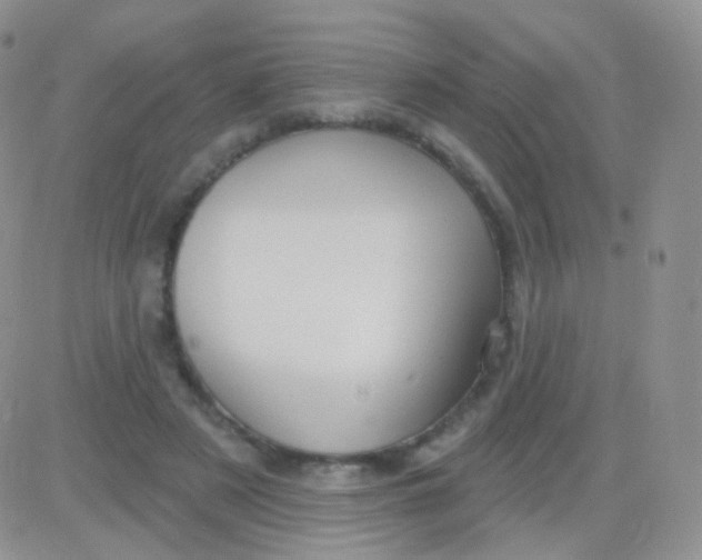 X0000083050497200702231959