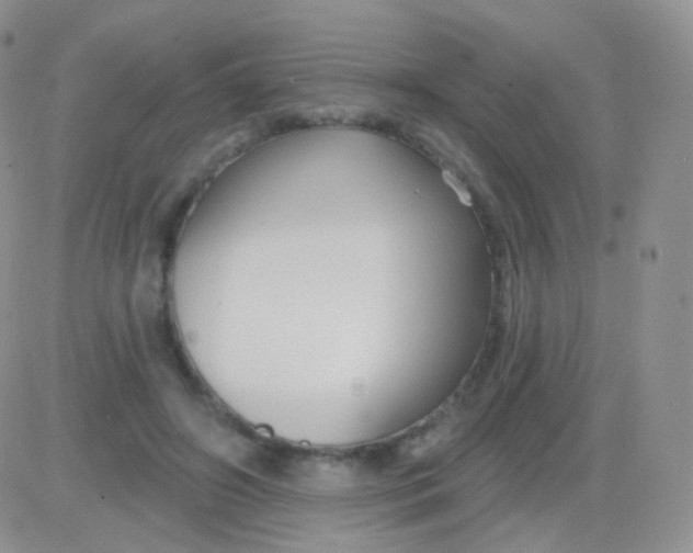 X0000083050498200702231959