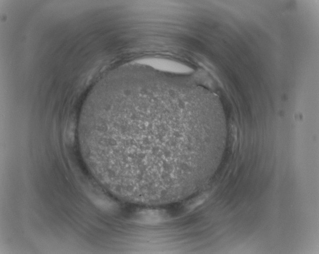 X0000083050499200702231959