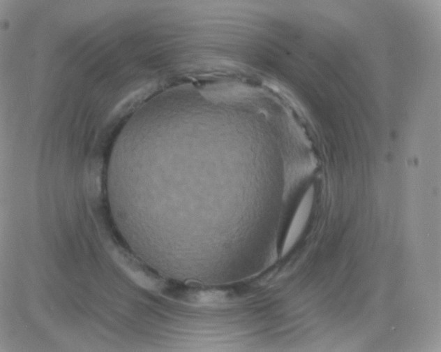 X0000083050501200702231959