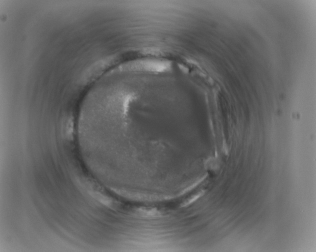 X0000083050502200702231959