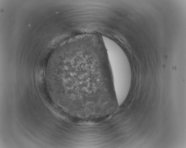 X0000083050503200702231959