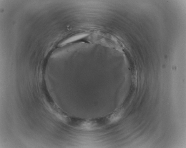 X0000083050504200702231959